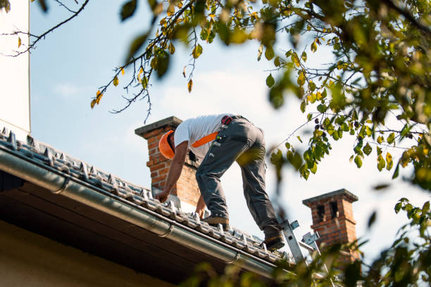 Best Storm Damage Roof Repair  in Appomattox, VA