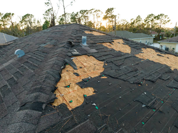 Best Roofing for New Construction  in Appomattox, VA