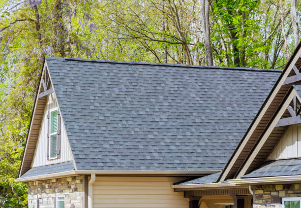 Best Roof Moss and Algae Removal  in Appomattox, VA