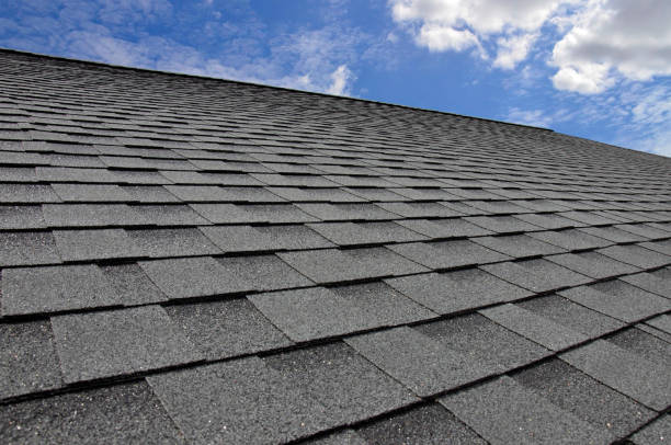 Best Roof Leak Repair  in Appomattox, VA